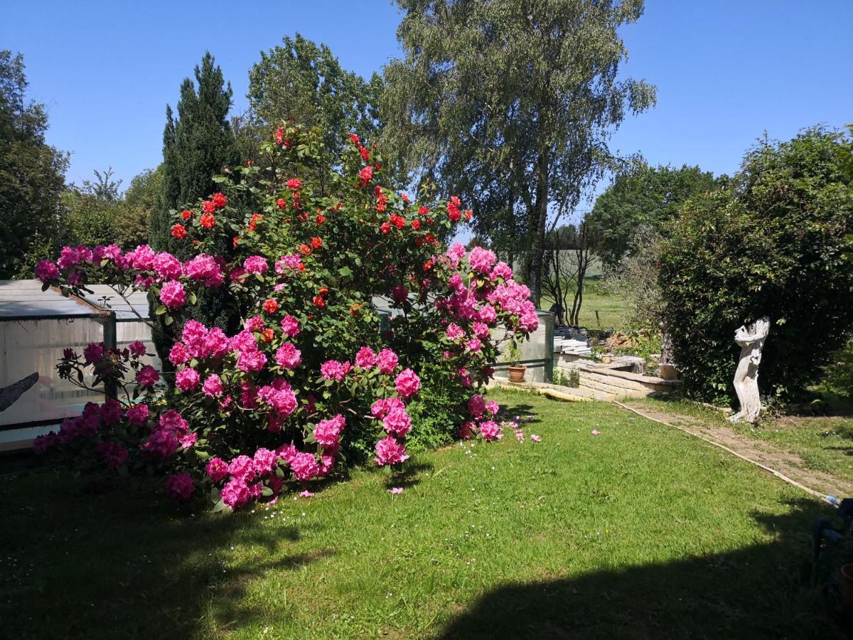 Au Jardin Fleuri Bed & Breakfast Secondigny Luaran gambar